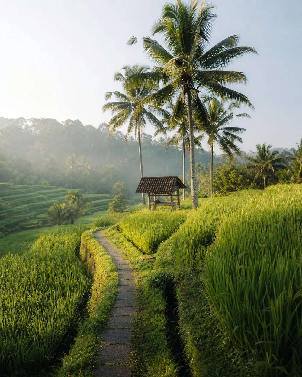 Lush green Tegalalang rice terraces in Ubud, Bali