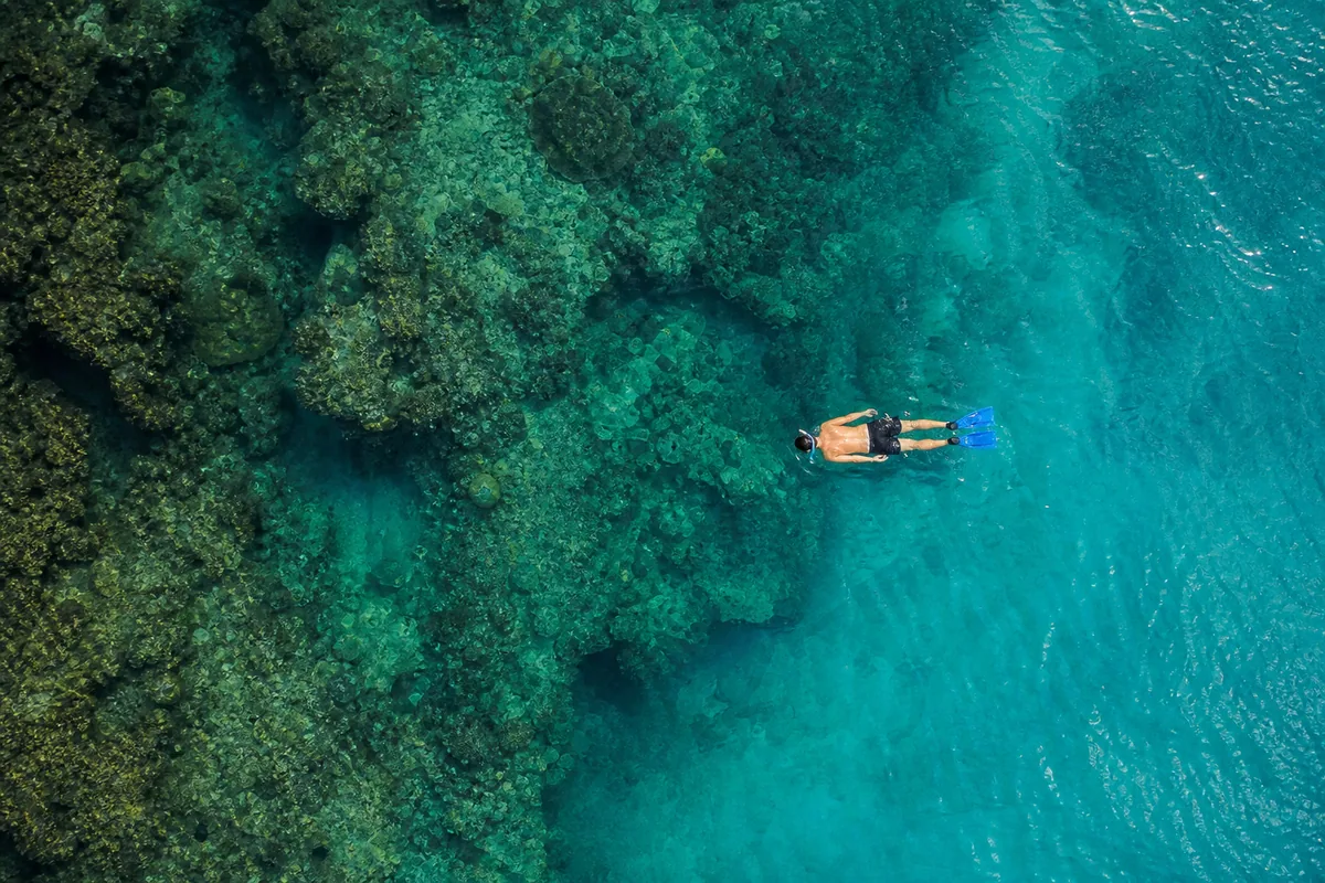Snorkeling above clear reef waters near Nusa Penida